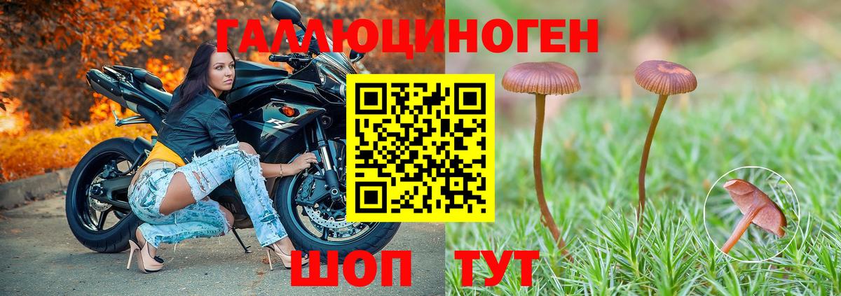 Псилоцибиновые грибы Psilocybe  цены   Вход с VPN  Мегион  Псилоцибиновые грибы GOLDEN TEACHER 